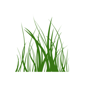 Selling a Lawncare Business