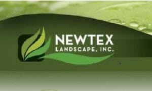 NewTex :Landscape